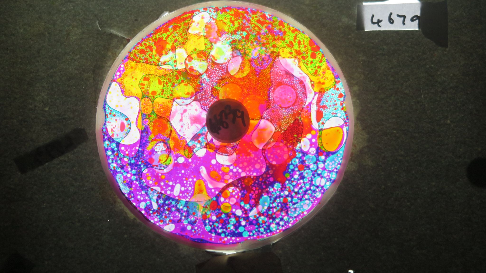 BV4679 bubble vision oil wheel